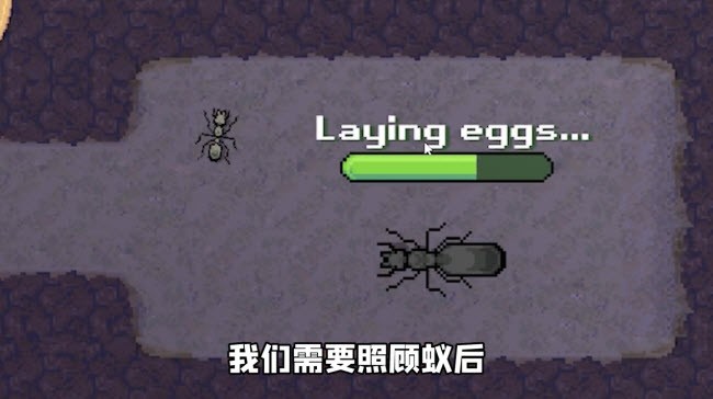 口袋蚂蚁模拟器小浪同款2