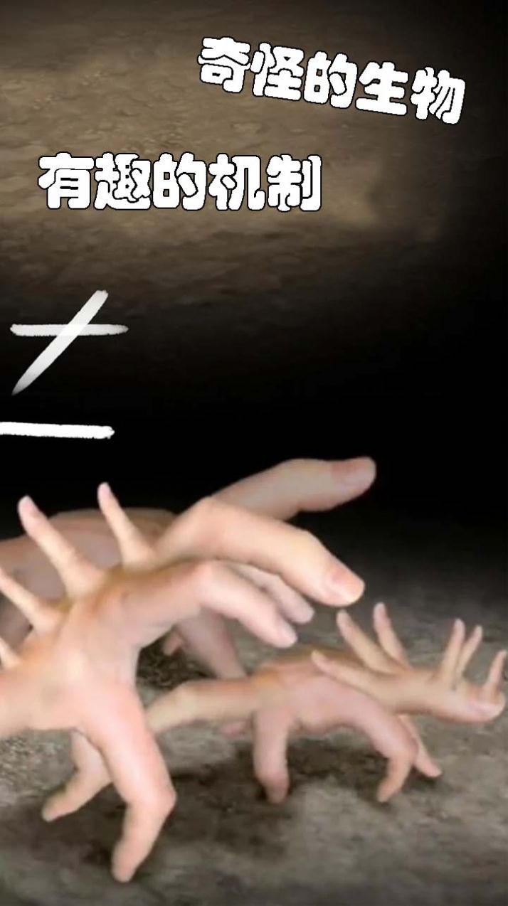 小小手指进化之路0