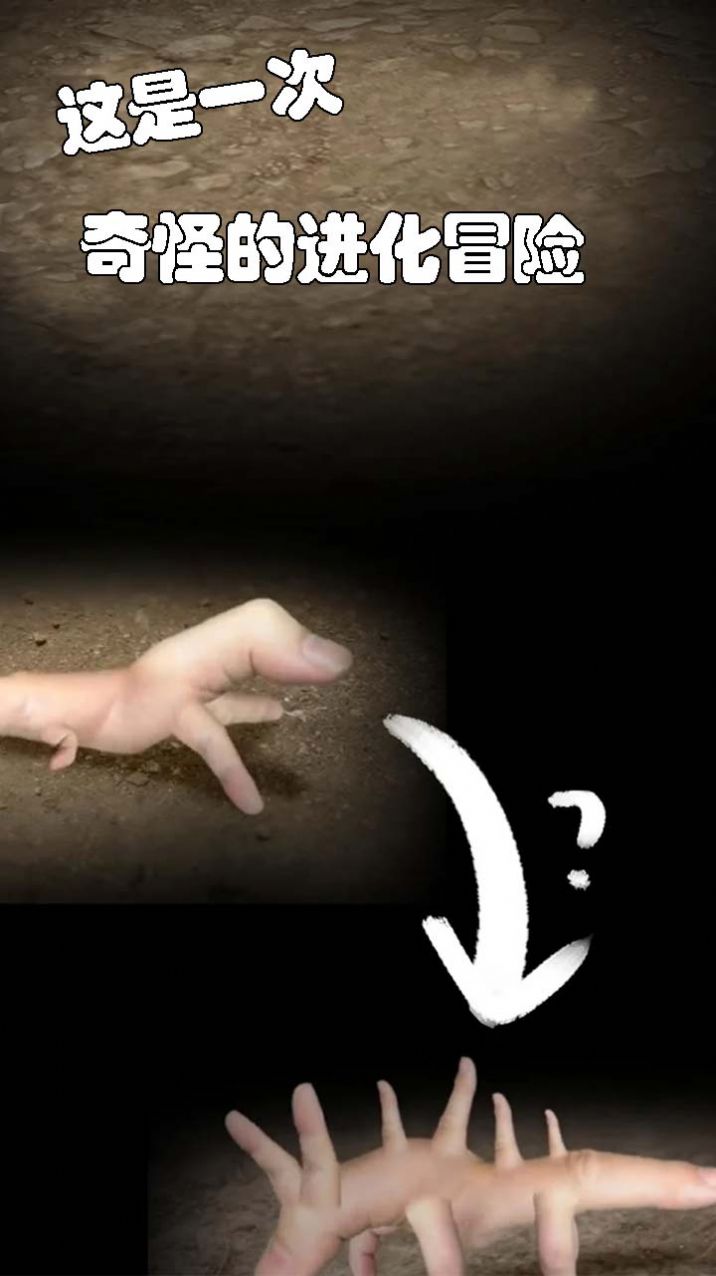 小小手指进化之路1