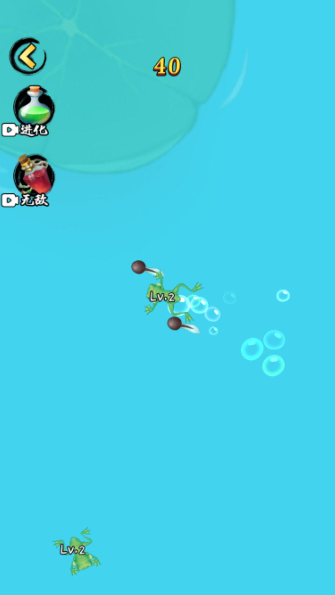 合成小神龙万宁版2