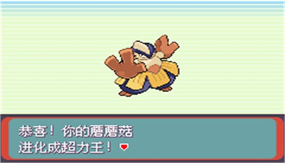 口袋妖怪绿宝石中文版1