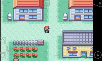 口袋妖怪火红随机版3