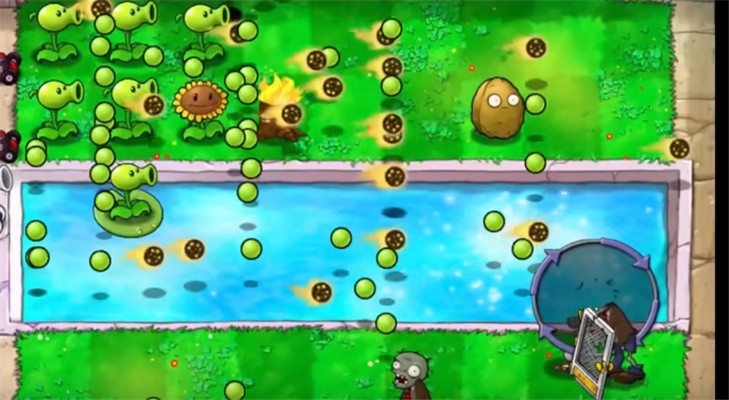 植物大战僵尸乐版0