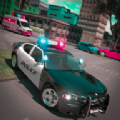 警察追捕模拟器