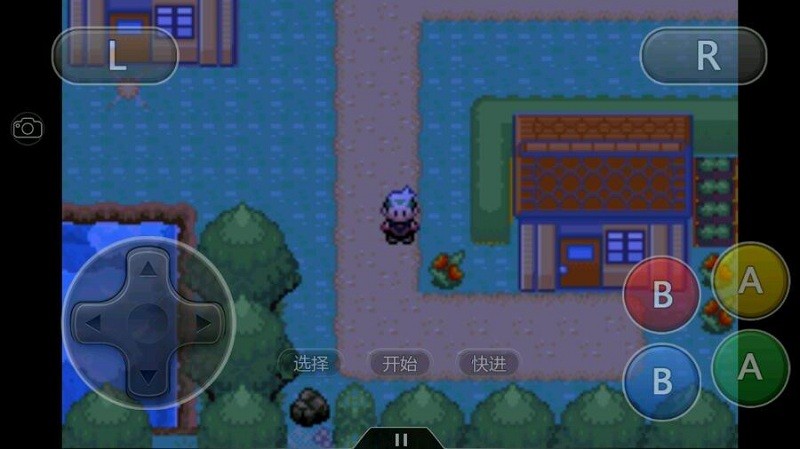 口袋妖怪雪之白2