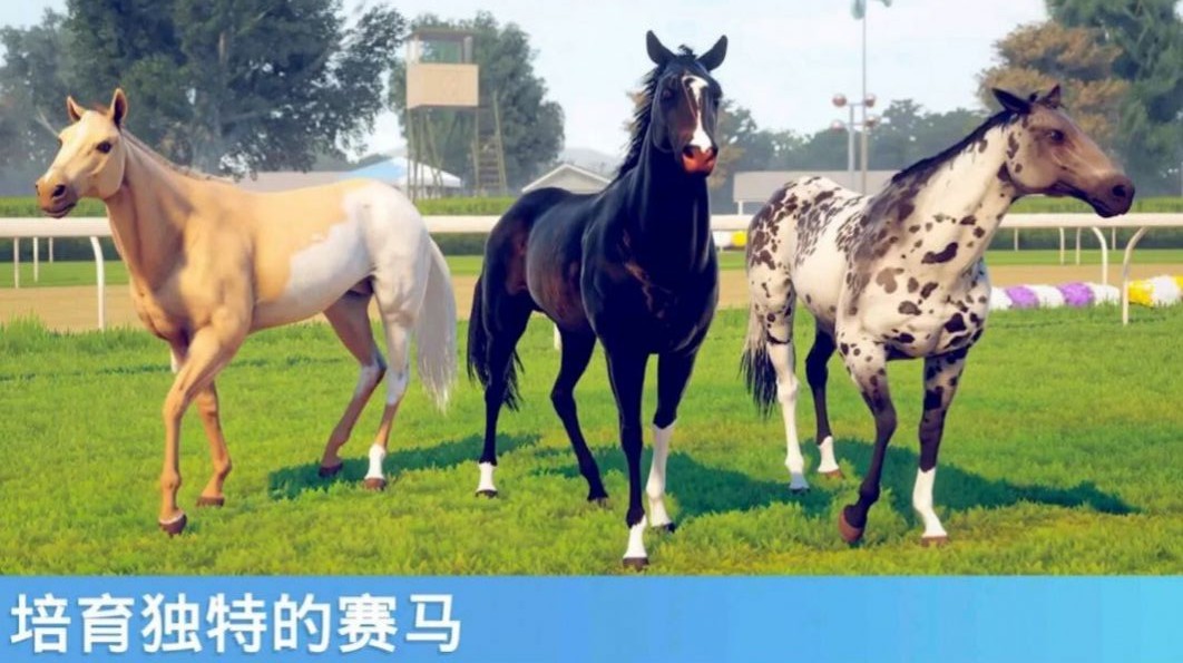 奔跑的马2