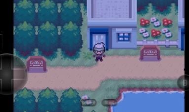 口袋妖怪赛义夫3