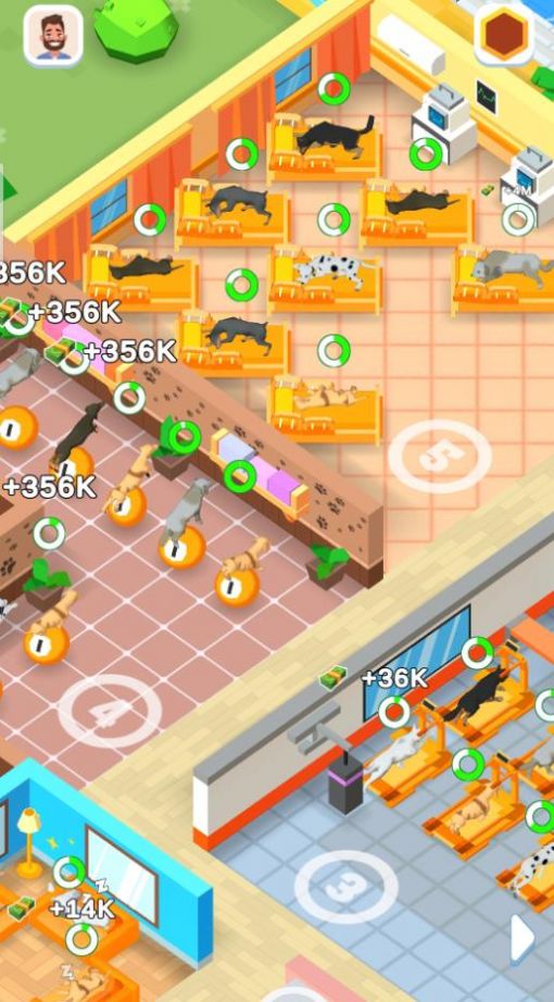 亚萨宠物城 亚萨宠物城