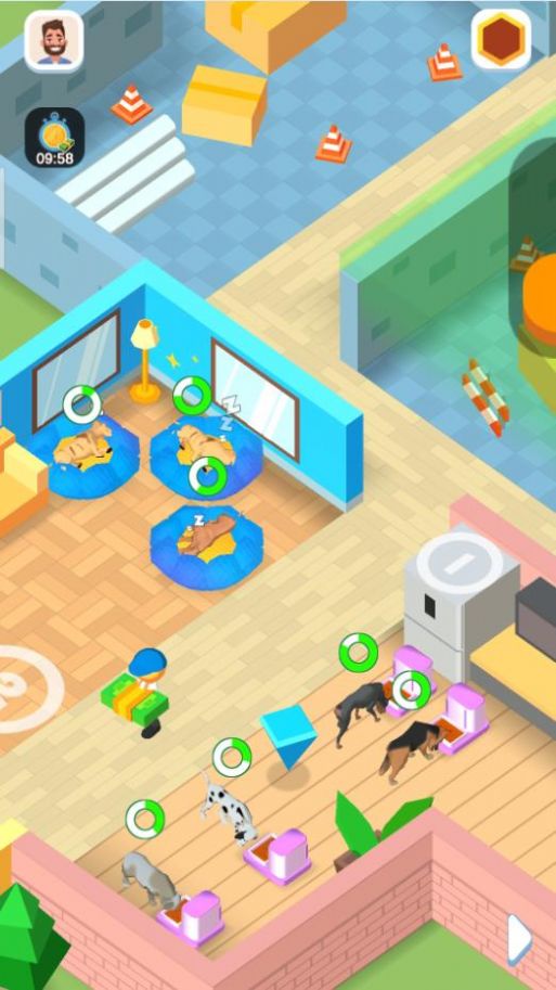 亚萨宠物城 亚萨宠物城