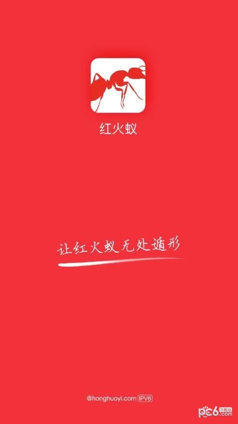 红火蚁