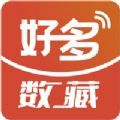 好多数藏