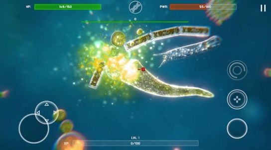 生物孢子的开始2