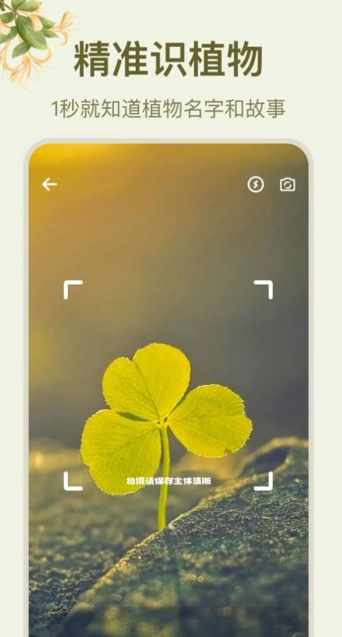 拍照识花大师0
