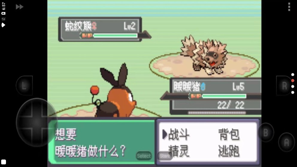 口袋妖怪漆黑的魅影50