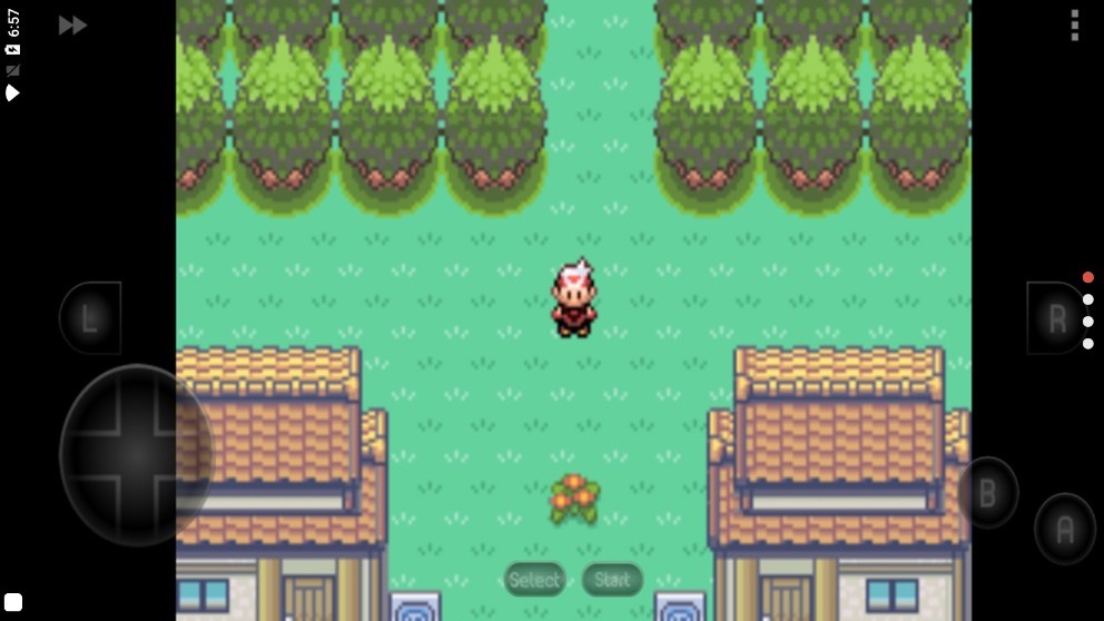 口袋妖怪漆黑的魅影52