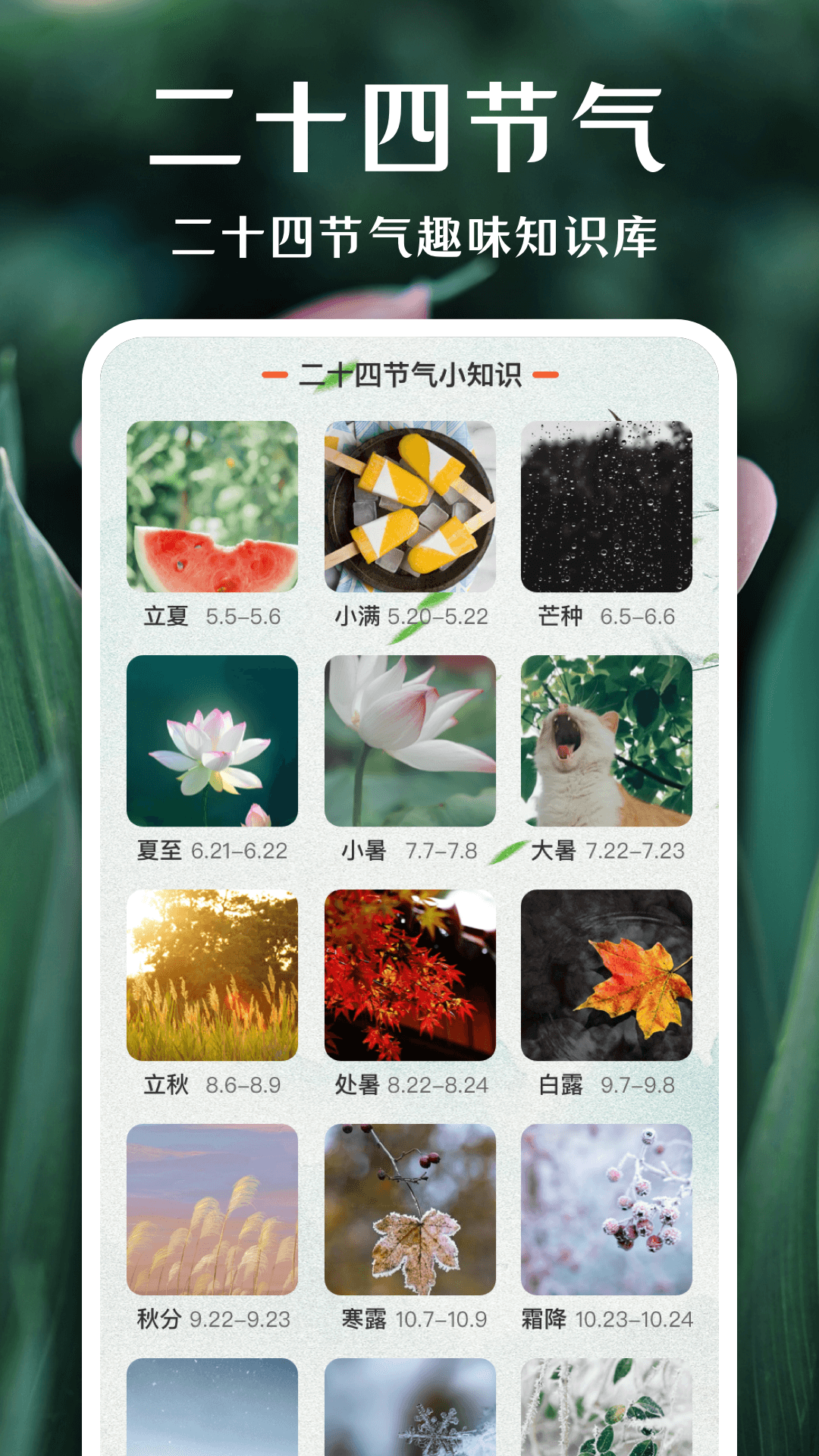 一键拍照识花1