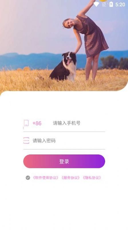 格格驾道2