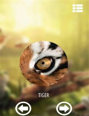 动物眼中的世界1