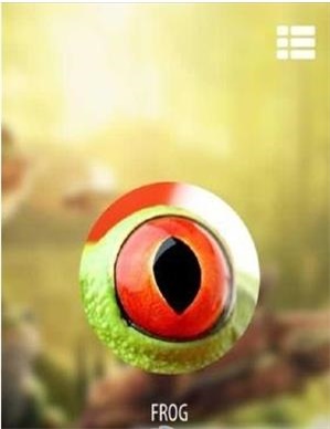 动物眼中的世界3