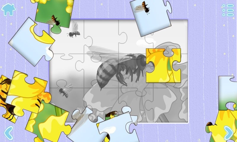 小蜜蜂儿童益智2