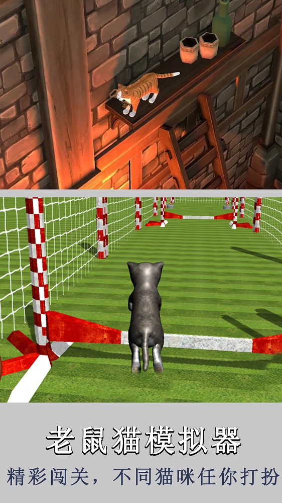 老鼠猫模拟器2