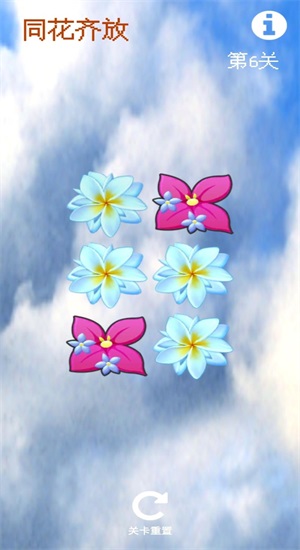同花齐放1