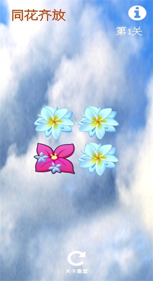同花齐放2