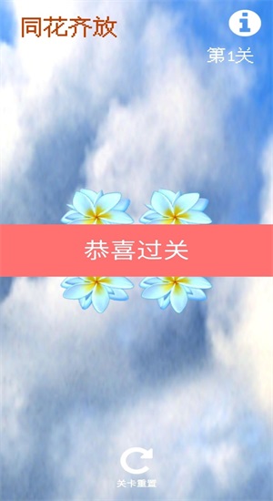 同花齐放3