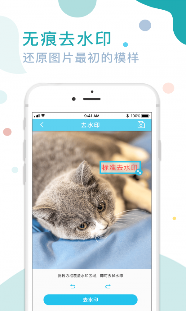 图片水印去除专家2