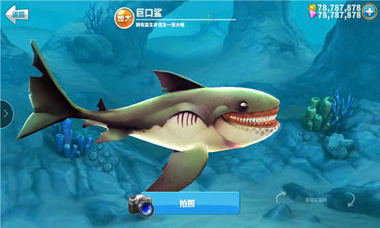 饥饿鲨世界国际服2