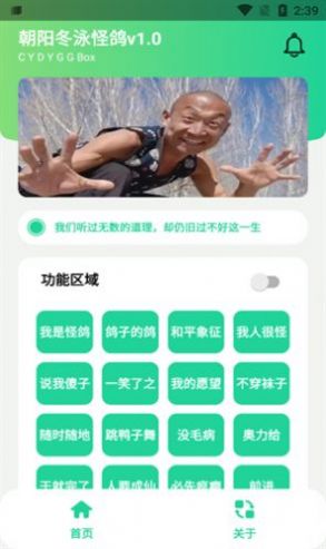 冬泳怪鸽盒 冬泳怪鸽盒