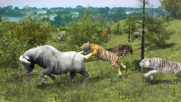 野生老虎模拟器0