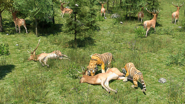 野生老虎模拟器2