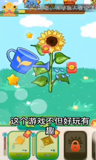 向日葵花园2