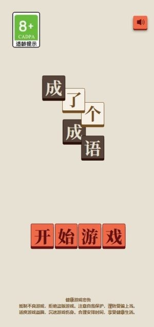 成了个成语3