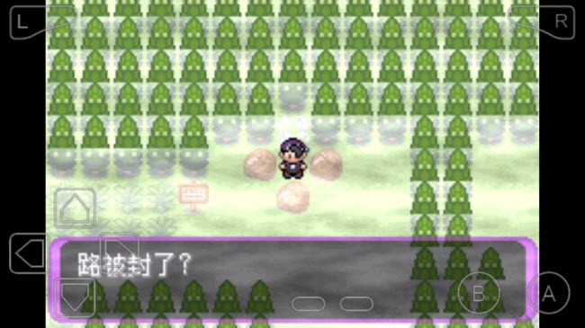 口袋妖怪仲夏夜之梦1.0