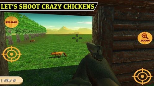 shoot chicken1
