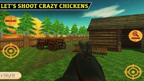 shoot chicken2