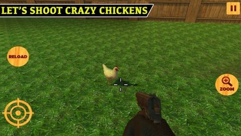 shoot chicken3
