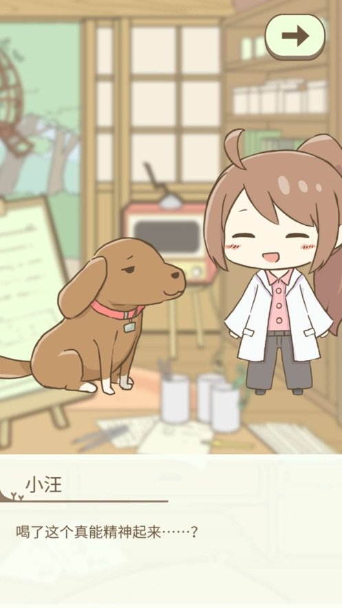 暖洋洋之森的药师最新版1