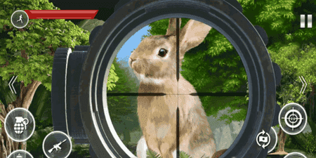 精英猎杀野兔0
