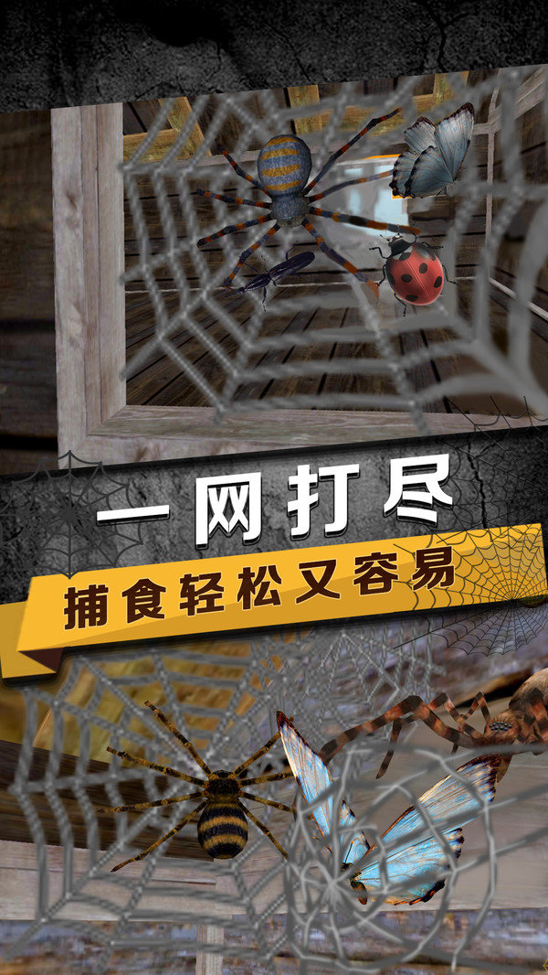 蜘蛛模拟生存0