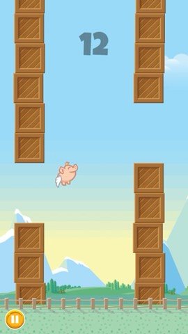 happy flappy pig0