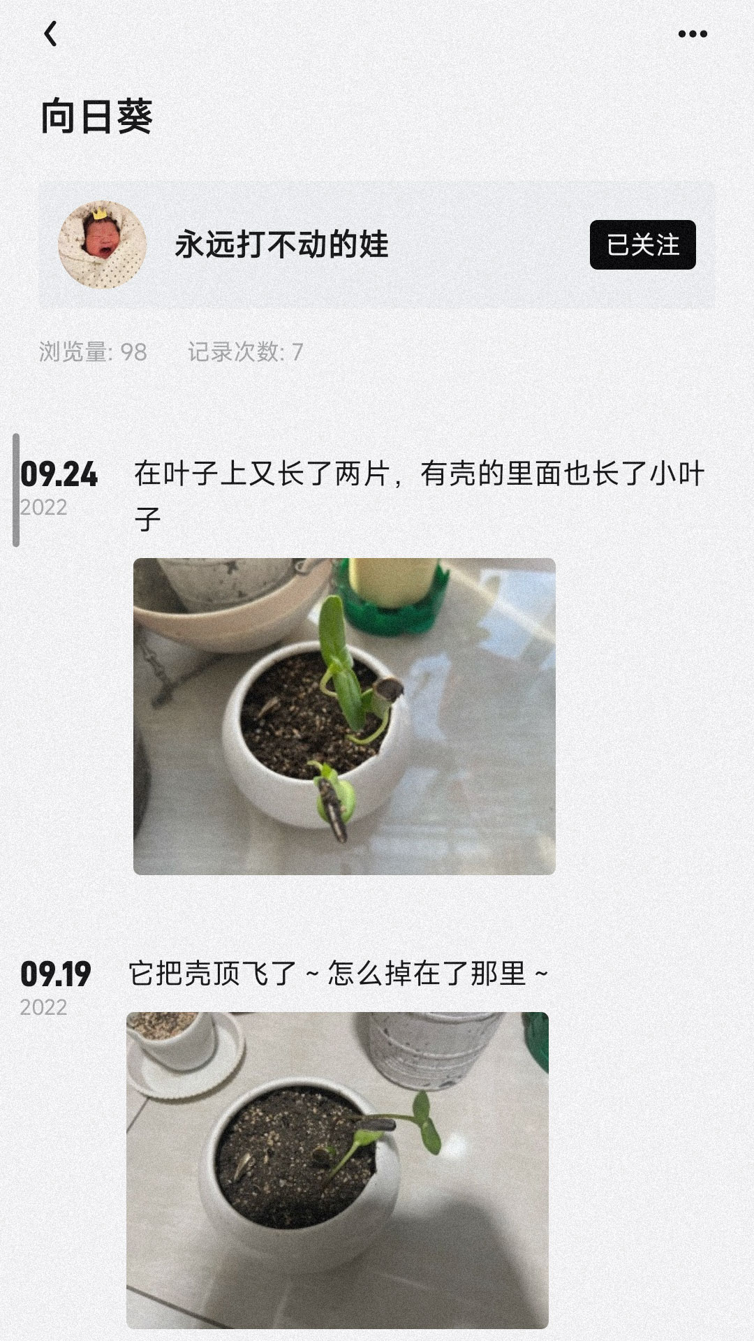 小植物 小植物