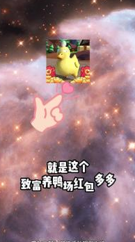 致富养鸭场红包多多 致富养鸭场红包多多