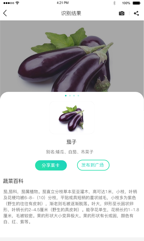 识菜君1