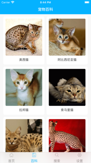 宠物百科1