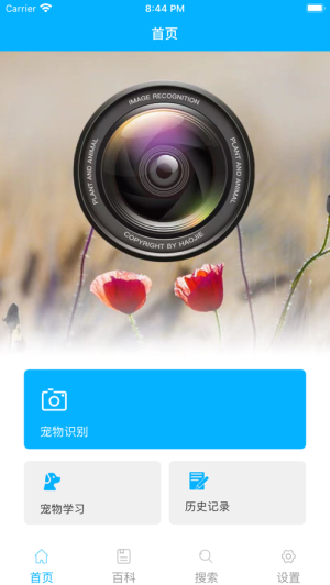 宠物百科2