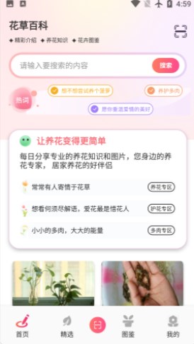 阑舒养花宝0