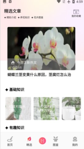 阑舒养花宝1
